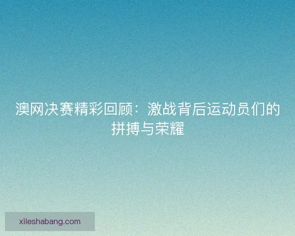 澳网决赛精彩回顾：激战背后运动员们的拼搏与荣耀