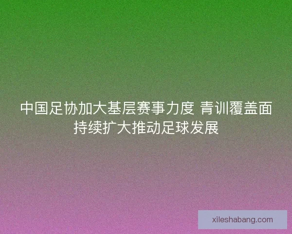 中国足协加大基层赛事力度 青训覆盖面持续扩大推动足球发展