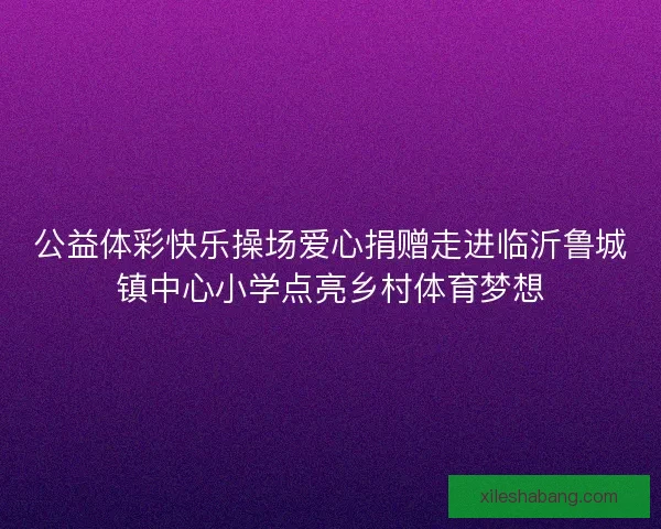 公益体彩快乐操场爱心捐赠走进临沂鲁城镇中心小学点亮乡村体育梦想